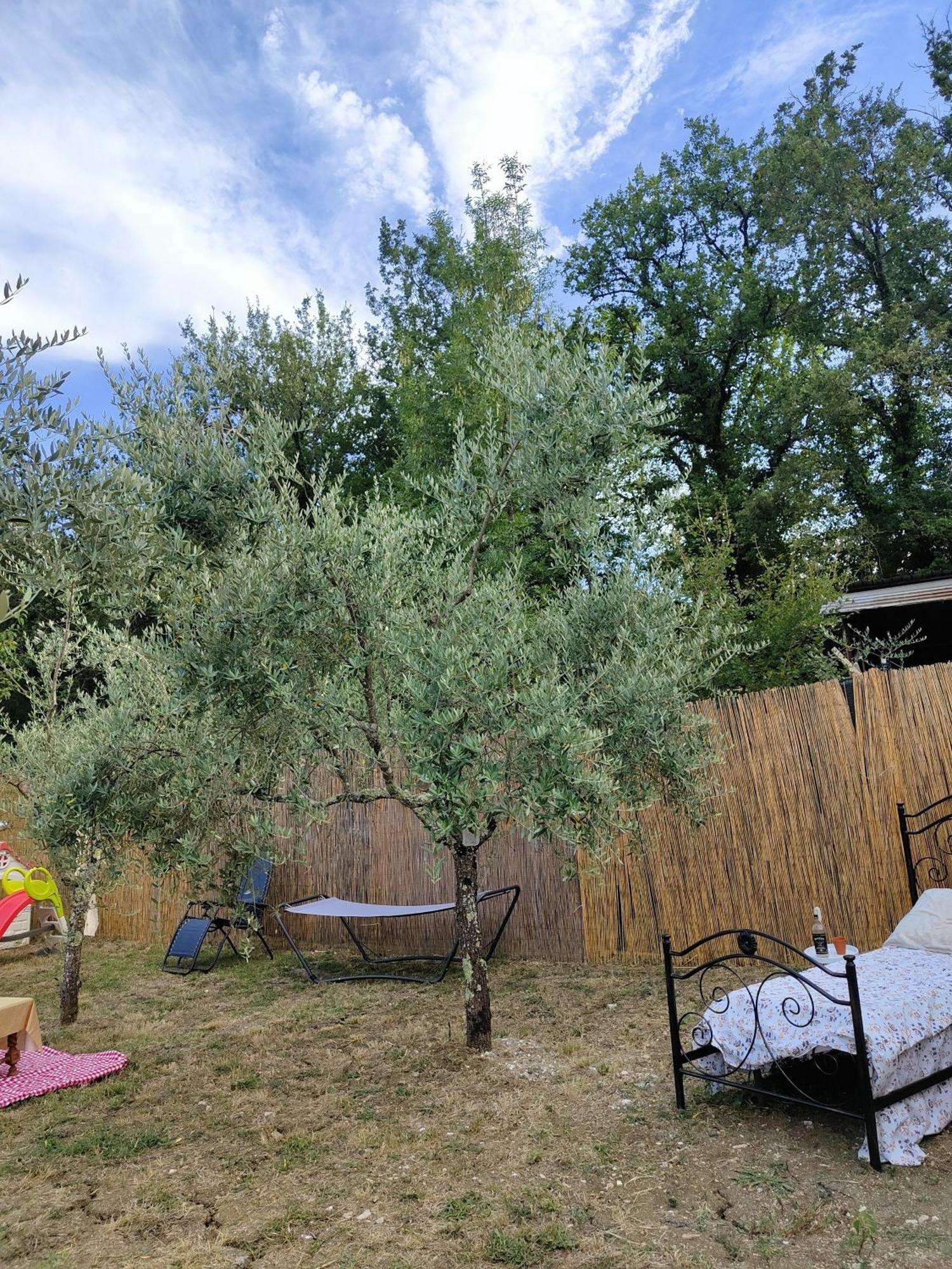 Casale Dei Ricordi Bed & Breakfast Arce Exterior photo